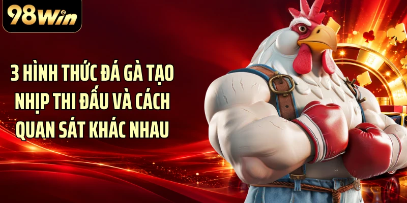 3 hình thức đá gà tạo nhịp thi đấu và cách quan sát khác nhau